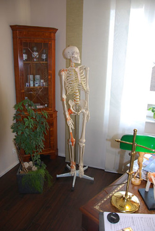 Skelett in der Praxis von Dr. Thorsten Rarreck